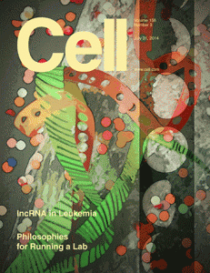 Cell