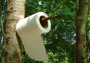 TP