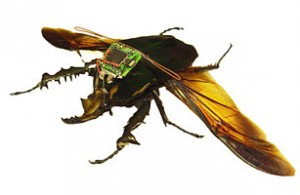 inventions_cyborg_beetle
