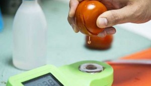 mini-scanner