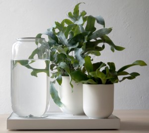 Tableau_Automatic_Houseplant_Watering_Tray_Pikaplant_White
