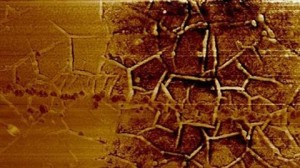 graphene-surface2