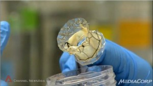 new-invention-for-heart