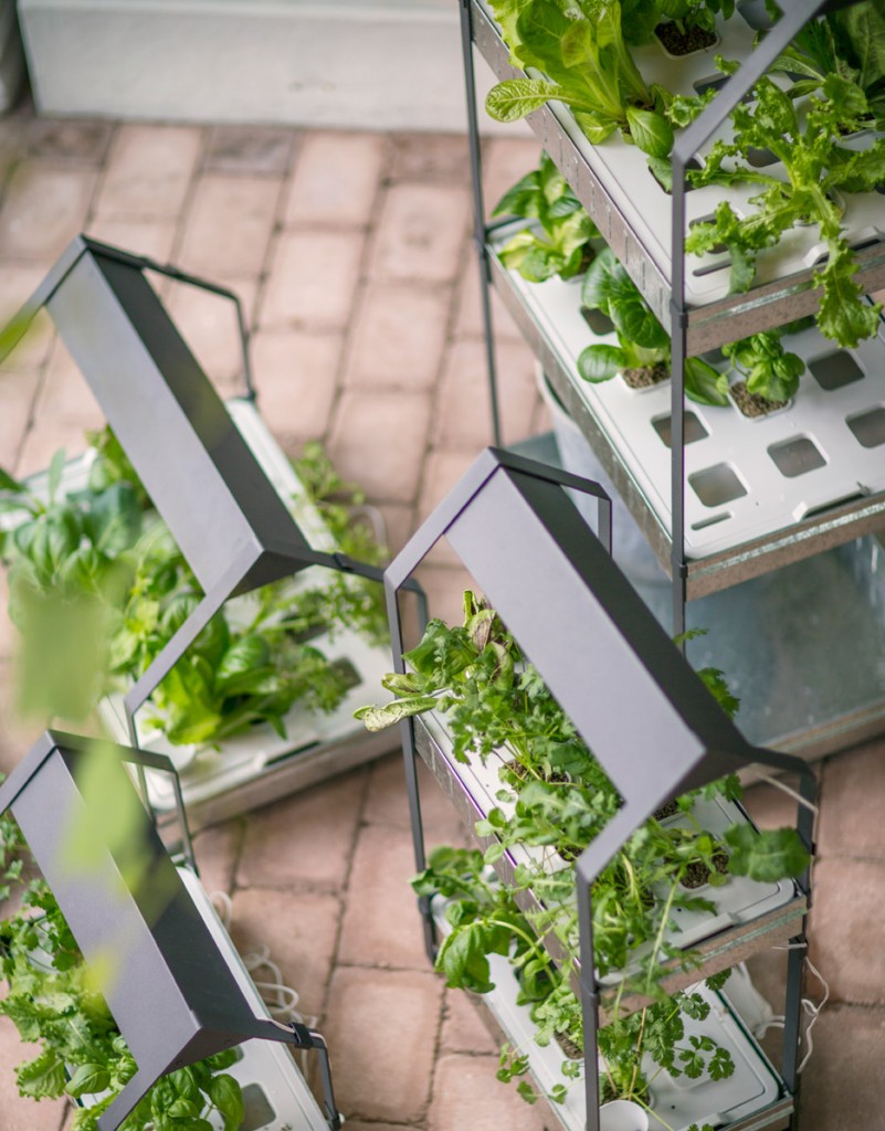 IKEA launches indoor garden | Innovation Essence