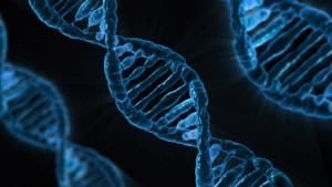 dna-2