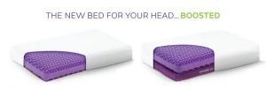 purple-1
