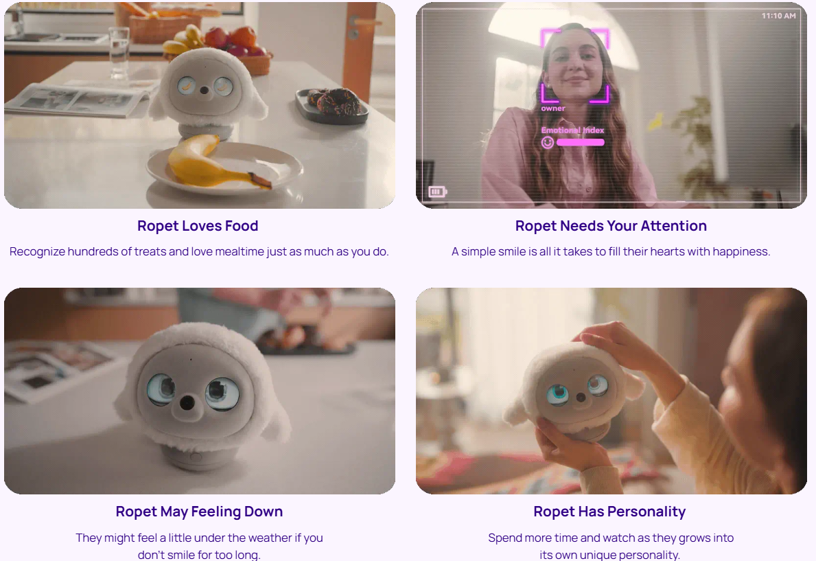 ‘RoPet’ – next generation ai robot pet