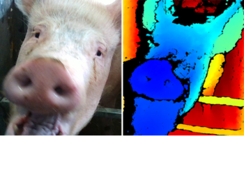 Centre for Machine Vision, Bristol Robotics Laboratory is developing facial recognition technology to assess the emotional state of animals