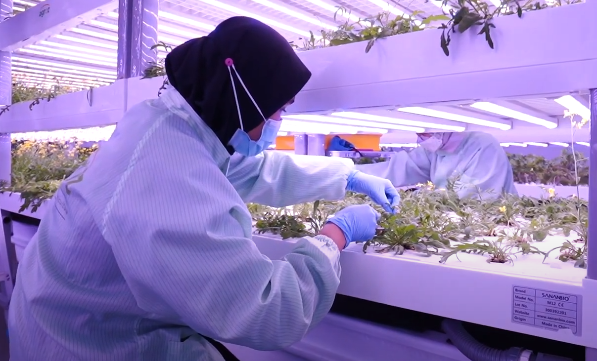 Agroz Robotics – AI-driven robotics into controlled-environment agriculture (CEA) and vertical farming