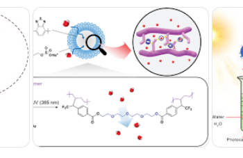 photocatalyst – accelerates a chemical reaction using light energy – Platinum-Free Photocatalyst Turns Sunlight and Water into Renewable Energy